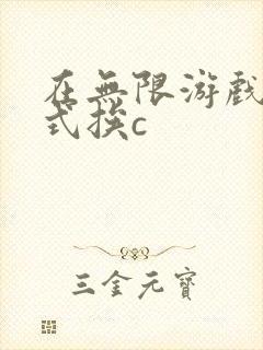 在无限游戏里花式挨c