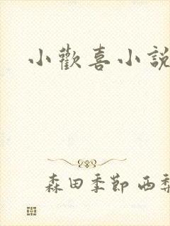 小欢喜小说