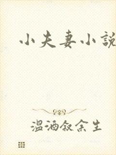 小夫妻小说
