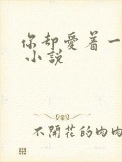 你却爱着一个他 小说