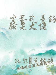 完蛋我养的小白脸是大佬