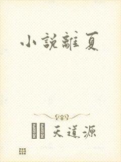 小说离夏