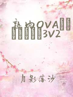 熟肉OVAちゃんはしたい3V2