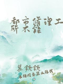 都市修理工之无所不能