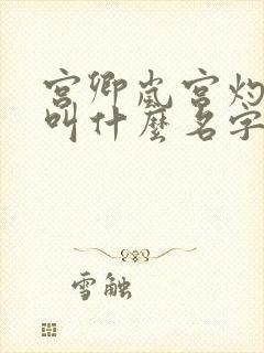 宫卿岚宫灼小说叫什么名字