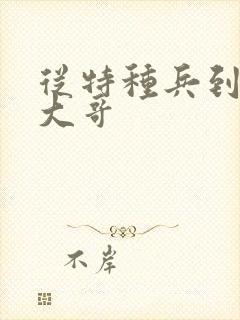 从特种兵到黑道大哥