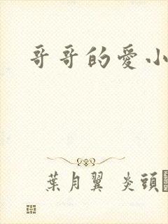 哥哥的爱小说