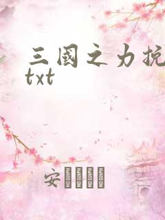 三国之力挽狂澜txt
