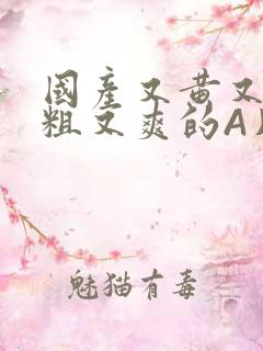 国产又黄又猛又粗又爽的A片小说