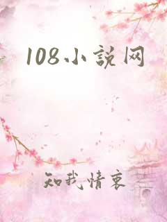 108小说网