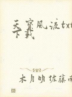 天宝风流txt下载