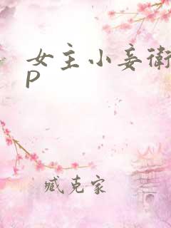 女主小妾卫府NP