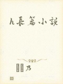 h长篇小说