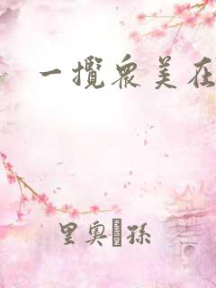 一揽众美在三国