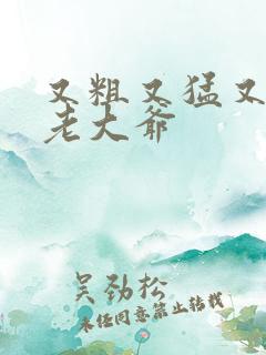 又粗又猛又大爽老大爷