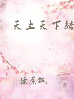 天上天下结局