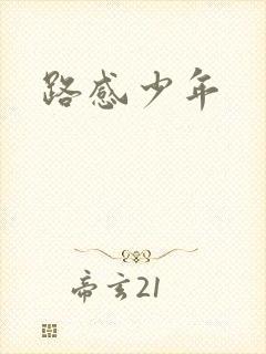 路感少年