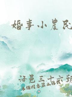 婚事小农民