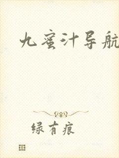 九蜜汁导航