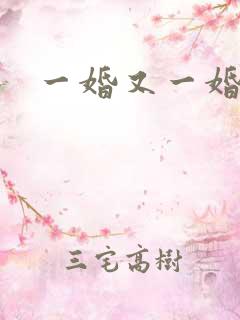 一婚又一婚