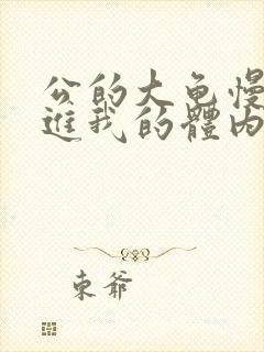 公的大龟慢慢挺进我的体内