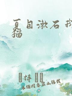 夏目漱石 我是猫