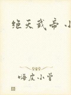 绝天武帝 小说