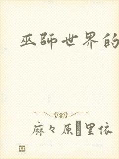 巫师世界的法师