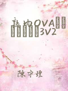 熟肉OVAちゃんはしたい3V2