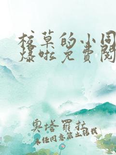 校草的小同桌撩爆啦免费阅读