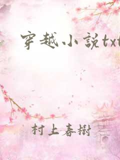 穿越小说txt