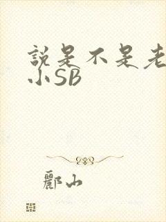 说是不是老公的小SB