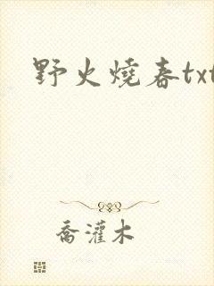 野火烧春txt
