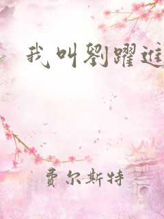 我叫刘跃进下载