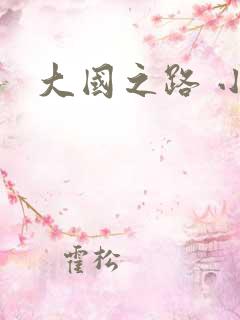 大国之路 小说