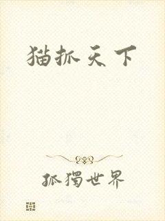 猫抓天下