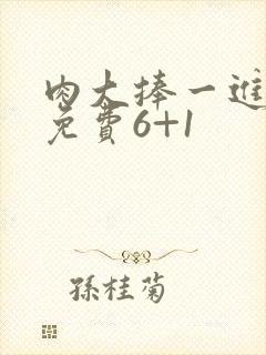 肉大捧一进一出免费6+1