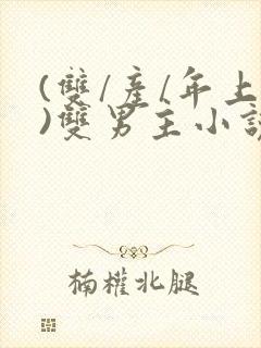 (双/产/年上)双男主小说