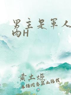 男主是军人的肉肉H
