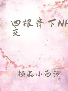 四根齐下NP宫交