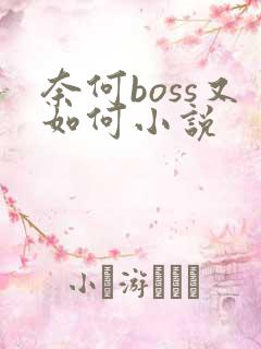 奈何boss又如何小说