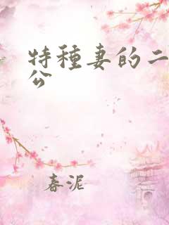 特种妻的二手老公