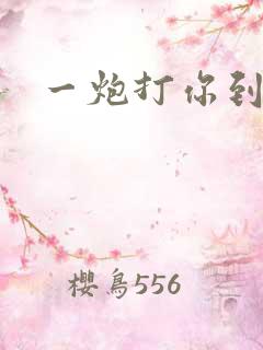 一炮打你到天亮