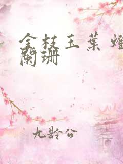 金枝玉叶 灯火阑珊