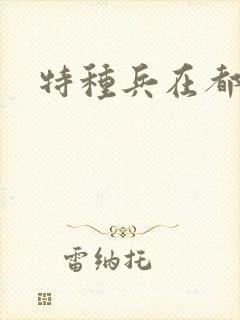 特种兵在都市
