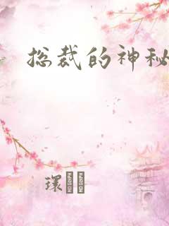 总裁的神秘情人