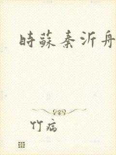 时苏秦沂舟小说