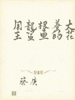 用龙根养大的公主鲨鱼的花