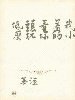 低头看着我是怎么玩你的小说
