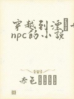 穿越到湮婸世界npc的小说